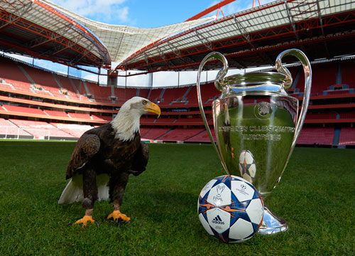 张浩源-初级工程师